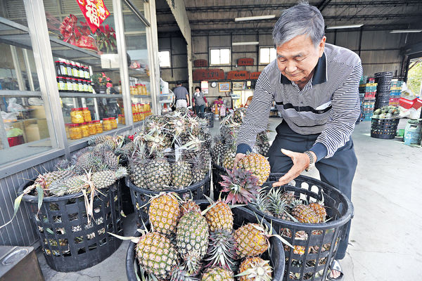 陸禁進口 台菠蘿減價輸港 料4至5月跌價一半 1個僅10多元