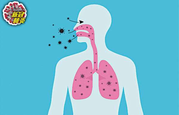 鼻腔新冠毒 疫苗也難防 病毒複製力超越抗體保護