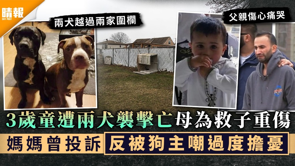 無品主人｜3歲童遭兩犬襲擊亡母為救子重傷 媽媽曾投訴反被狗主嘲過度擔憂