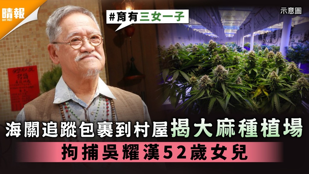 海關追蹤包裹到村屋揭大麻種植場 拘捕吳耀漢52歲女兒