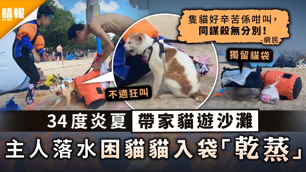 涉嫌虐貓｜34度炎夏帶家貓遊沙灘 主人落水困貓貓入袋「乾蒸」