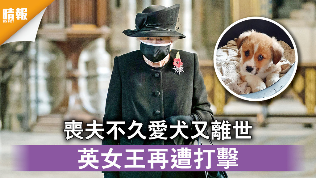 英國王室｜喪夫不久愛犬又離世 英女王再遭打擊