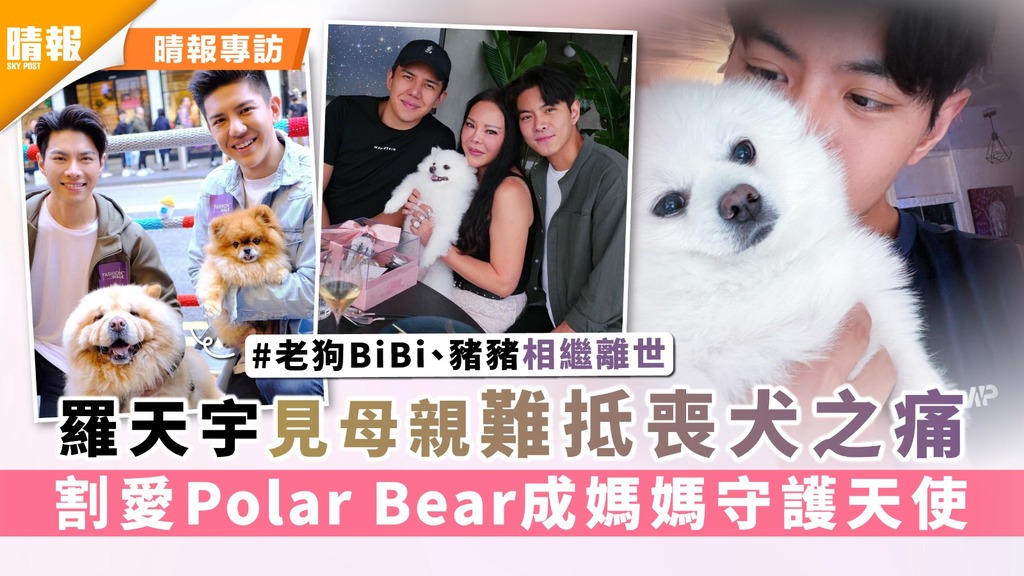 PetPet星︳羅天宇見母親難抵喪犬之痛 割愛Polar Bear成媽媽守護天使