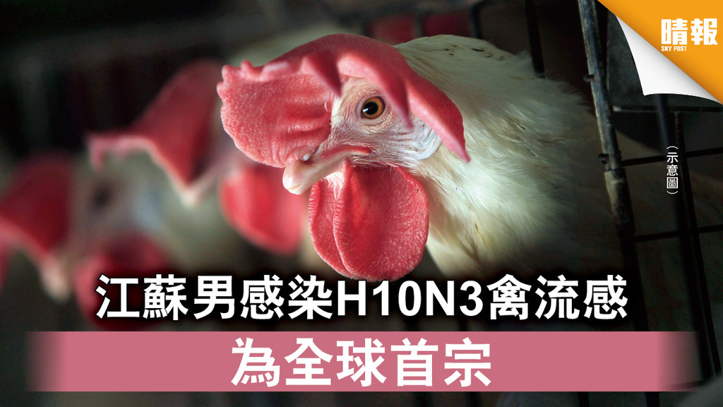 H10N3禽流感｜江蘇男感染H10N3禽流感 為全球首宗