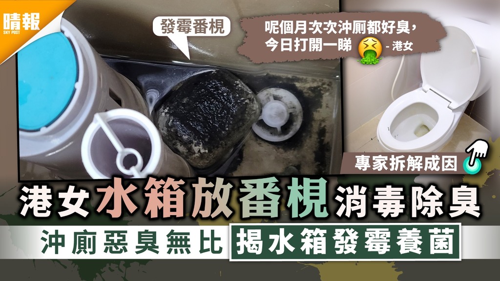 家居清潔｜港女水箱放番梘消毒除臭 沖廁惡臭無比揭水箱發霉養菌【專家拆解成因】