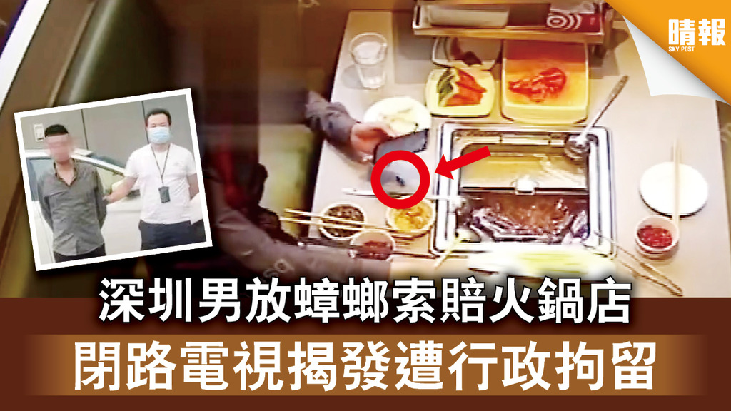 自導自演｜深圳男放蟑螂索賠火鍋店 閉路電視揭發遭行政拘留