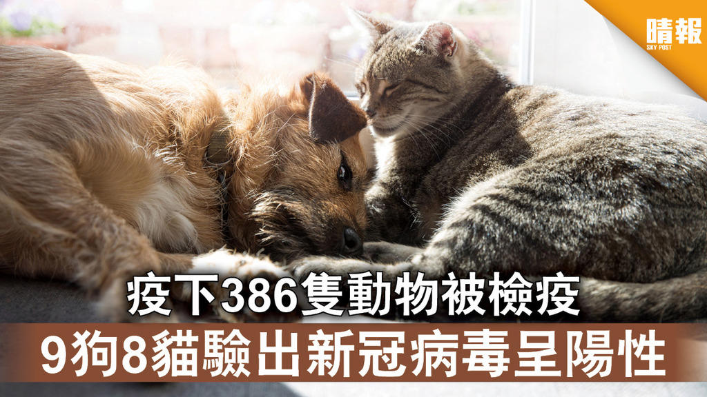 新冠肺炎│疫下386隻動物被檢疫 9狗8貓驗出新冠病毒呈陽性
