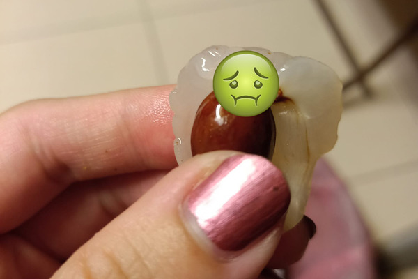 【荔枝有蟲】荔枝吃到一半驚現活蟲 網民:懂得吃的會連蟲吃