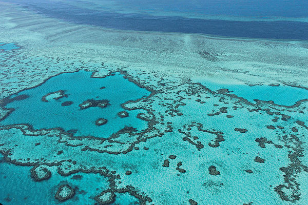 大堡礁擬列瀕危世遺 澳洲反對