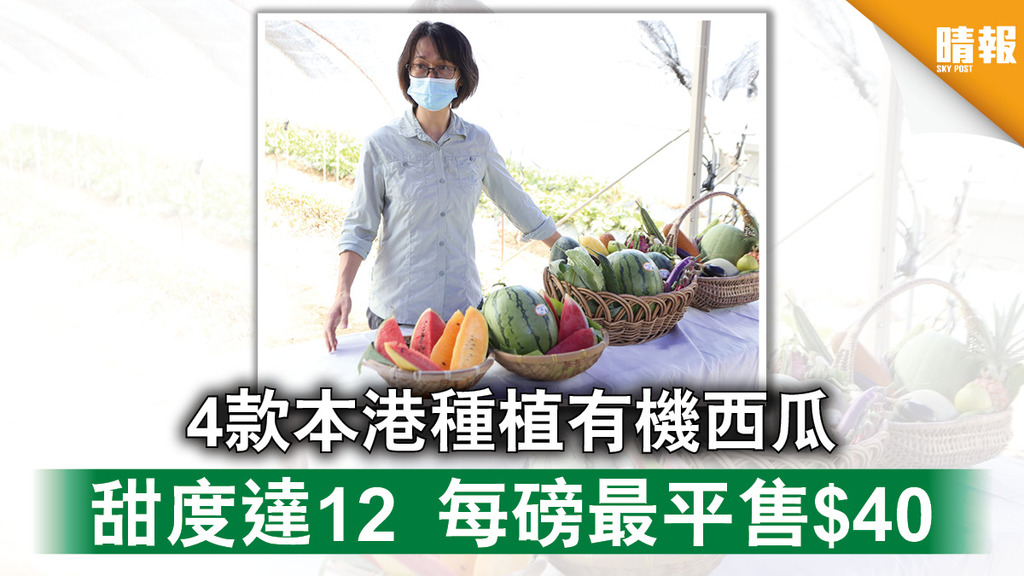 本地農業│4款本港種植有機西瓜 甜度達12  每磅最平售$40 （附購買3途徑）