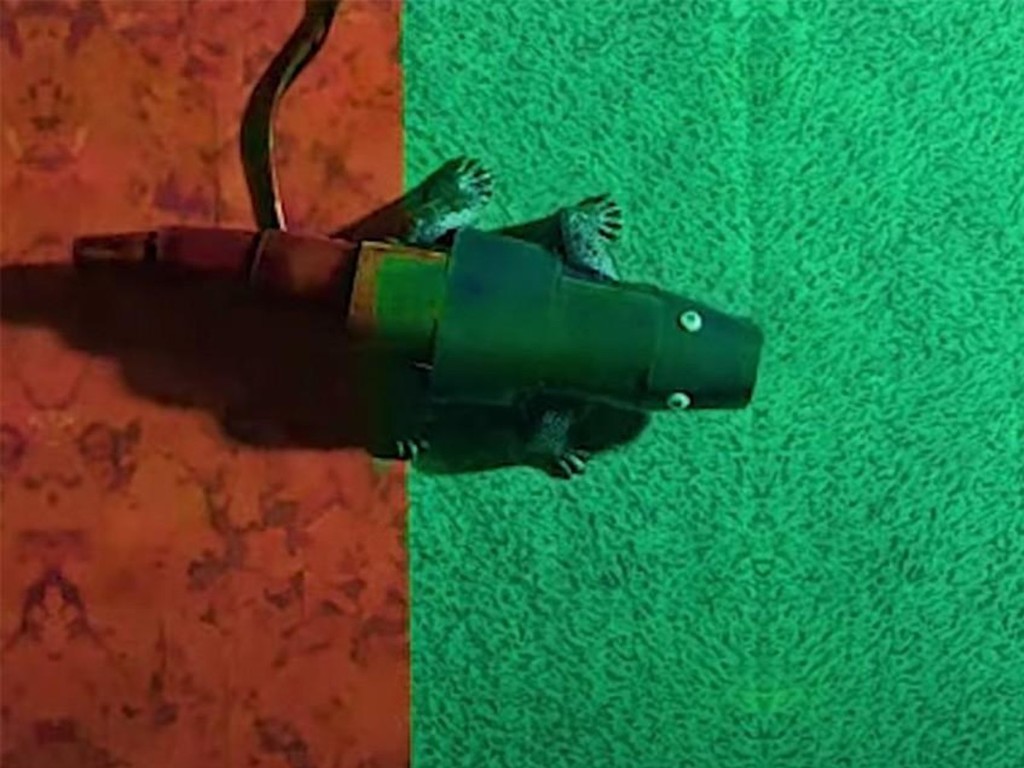 南韓首爾大學研變色龍機械人半秒內可跟背景變色 Ezone Hk 科技焦點 科技汽車 D