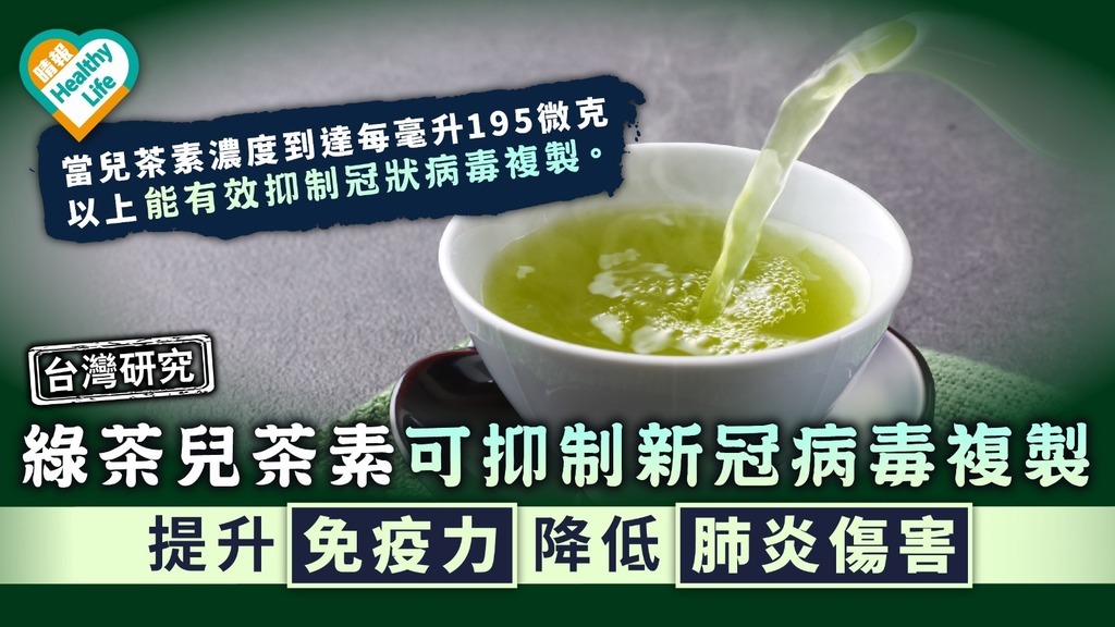 台灣研究｜綠茶兒茶素可抑制新冠病毒 提升免疫力降低肺炎傷害