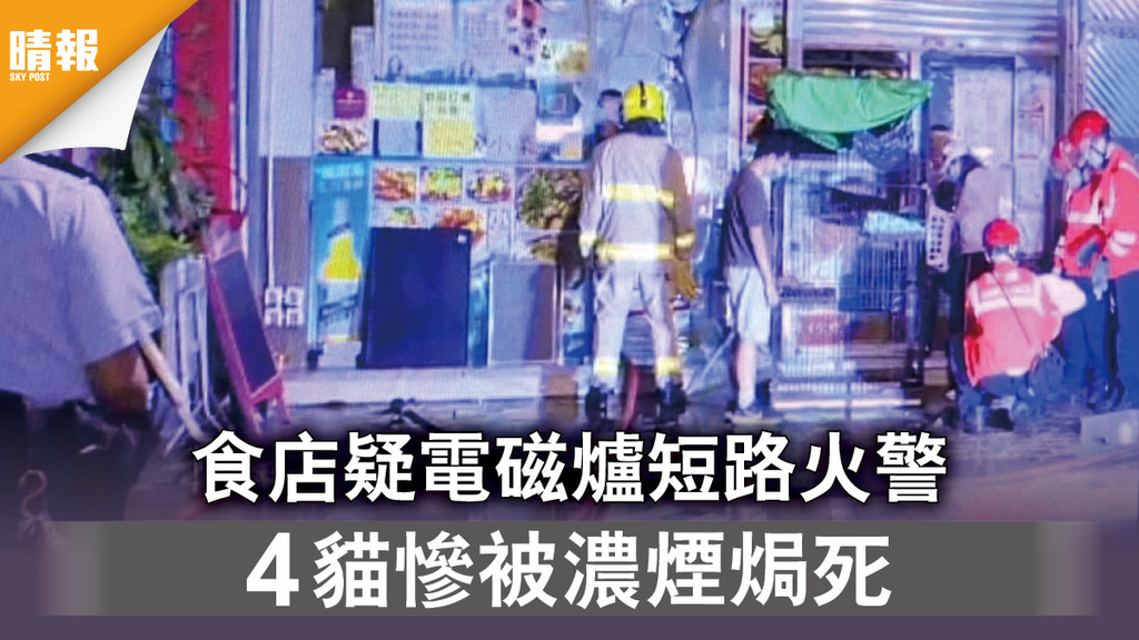 葵涌火警｜食店疑電磁爐短路火警 4貓慘被濃煙焗死