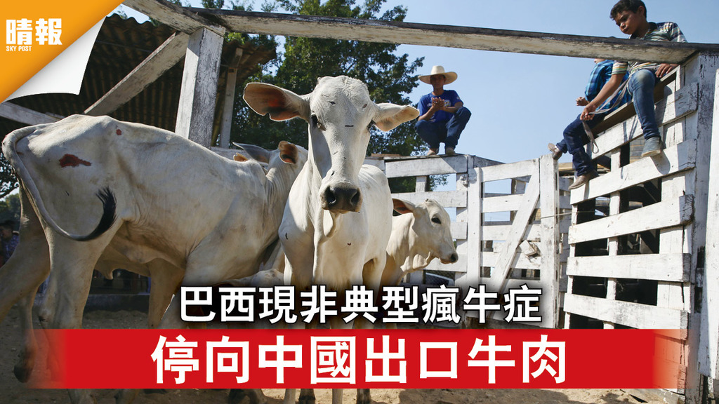 食物安全｜巴西現非典型瘋牛症 停向中國出口牛肉