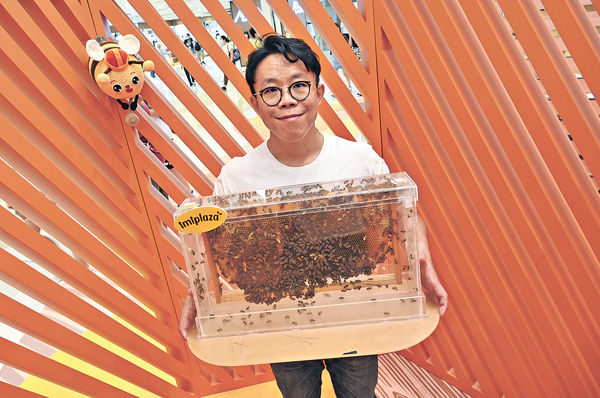城市養蜂人 教小朋友認識生態環保