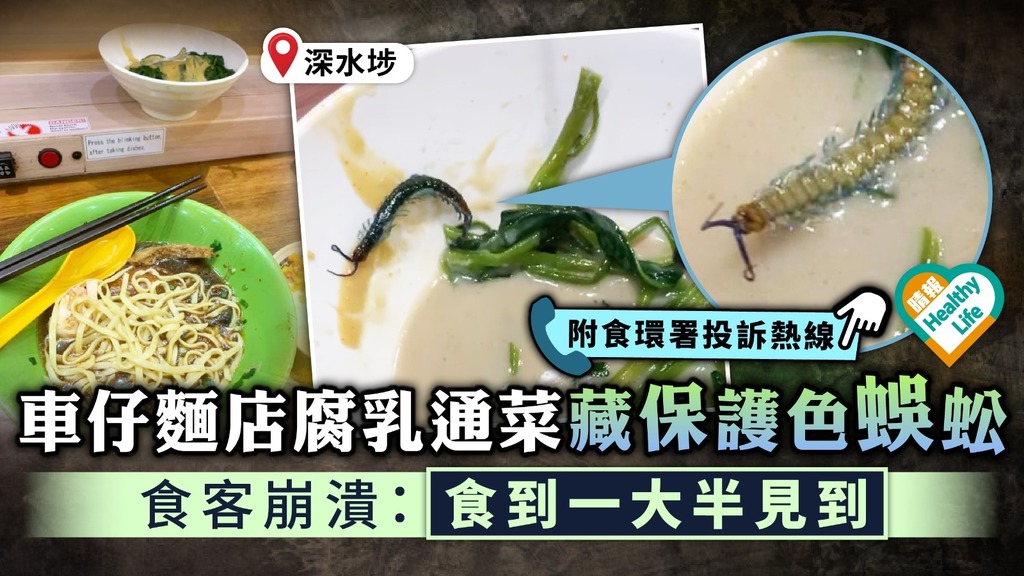 食用安全︳深水埗車仔麵店腐乳通菜藏蜈蚣 食客崩潰：食到一大半見到︳附食環署投訴熱線