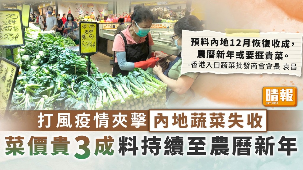街市格價 ︳打風疫情夾擊內地蔬菜失收 菜價貴3成料持續至農曆新年