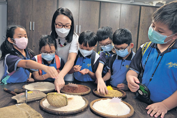 小學生體驗式學習 參觀米行認識香港歷史