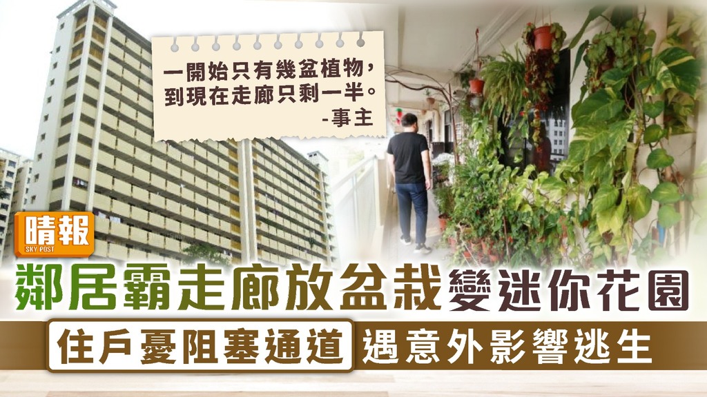 霸道鄰居 ︳鄰居霸走廊放盆栽變迷你花園 住戶憂阻塞通道遇意外影響逃生