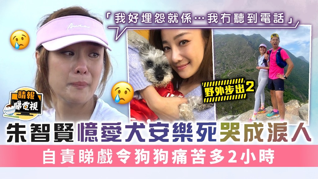 野外步出2｜朱智賢憶愛犬安樂死哭成淚人 自責睇戲令狗狗痛苦多2小時