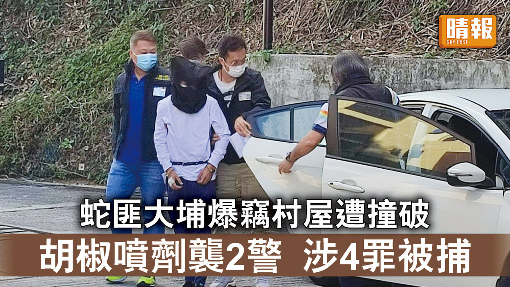 香港治安｜蛇匪大埔爆竊村屋遭撞破 胡椒噴劑襲2警 涉4罪被捕
