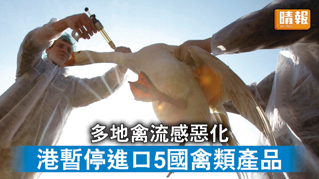禽流感｜多地禽流感惡化 港暫停進口5國禽類產品