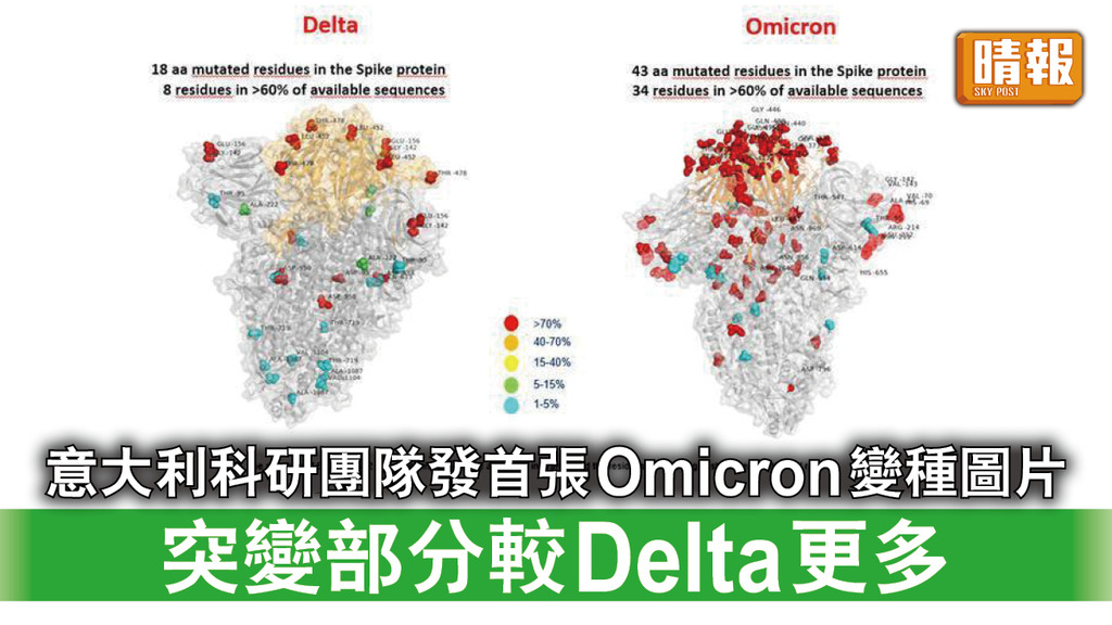 新冠肺炎｜意大利科研團隊發首張Omicron變種圖片 突變部分較Delta更多