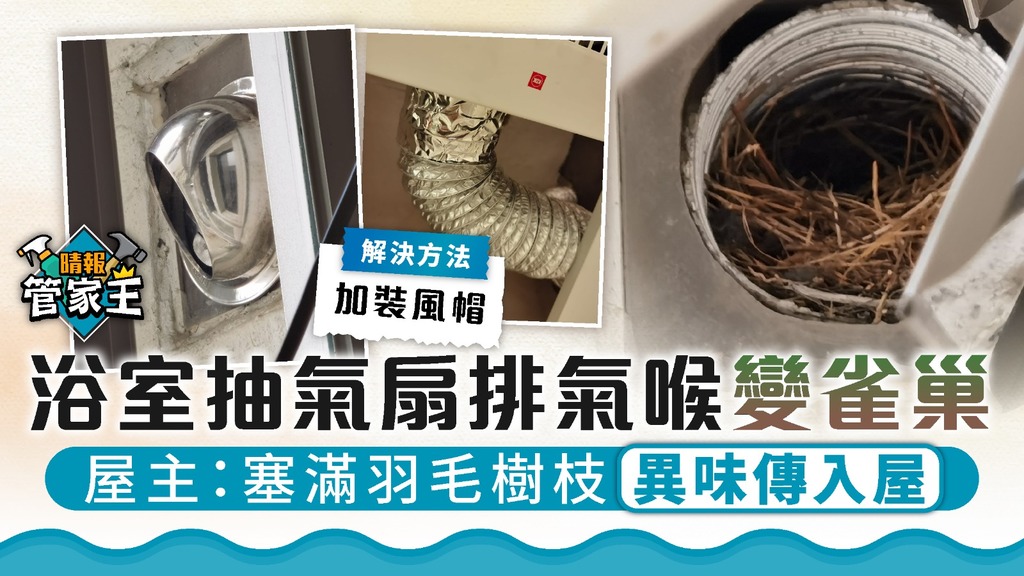 管家王 ︳浴室抽氣扇排氣喉變雀巢 屋主：塞滿羽毛樹枝異味傳入屋