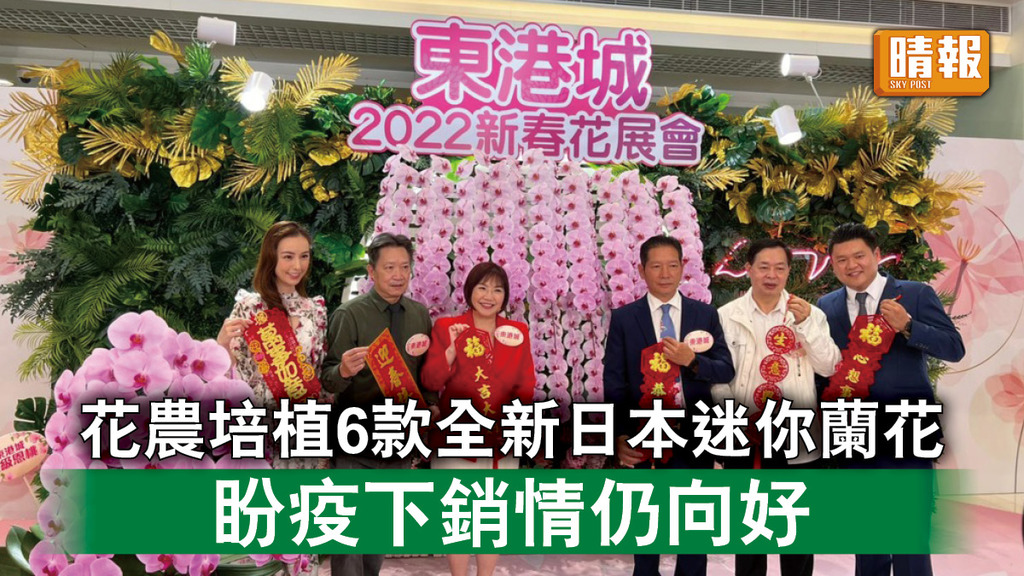 年宵花市｜花農培植6款全新日本迷你蘭花 盼疫下銷情仍向好