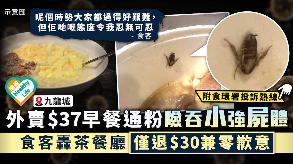 食用安全︳九龍城外賣$37早餐通粉險吞小強屍體 食客轟茶餐廳僅退$30兼零歉意︳附食環署投訴熱線