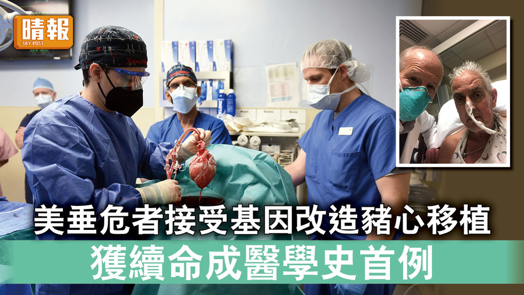 醫學突破｜美垂危者接受基因改造豬心移植 獲續命成醫學史首例