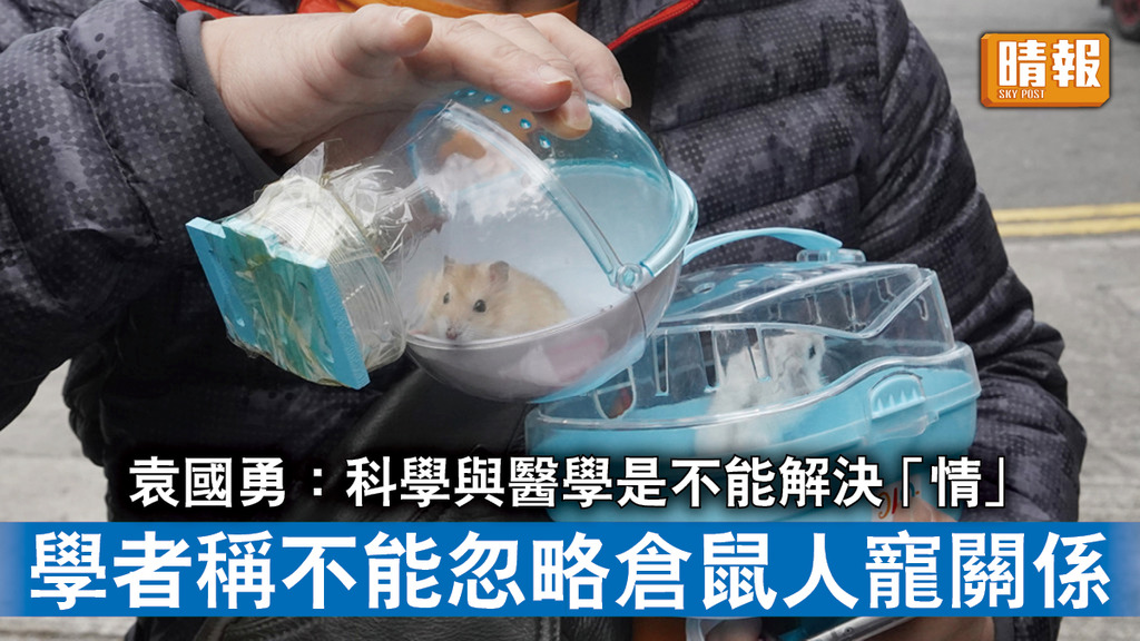 新冠肺炎｜袁國勇：科學與醫學是不能解決「情」 學者稱不能忽略倉鼠人寵關係