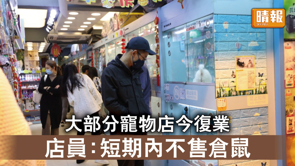 新冠肺炎｜大部分寵物店今復業 店員：短期內不售倉鼠