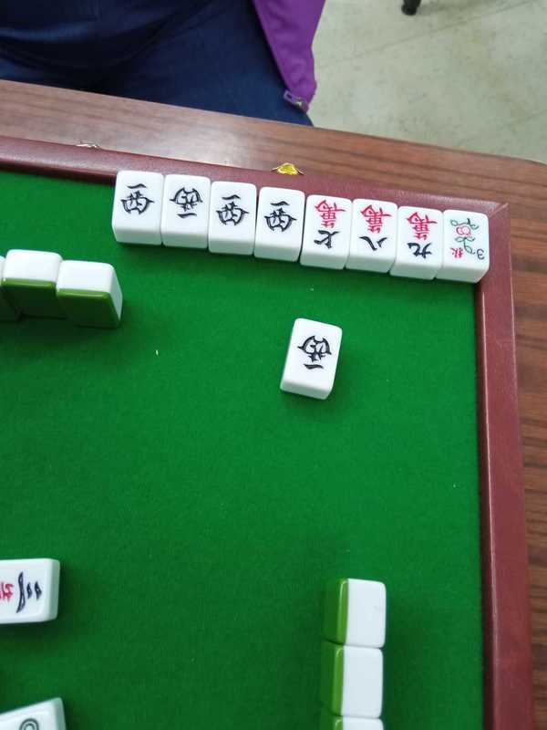 淘寶中伏 淘旅行裝麻雀新年開枱事主 打到唔知幾圈發現有5隻西 晴報 家庭 熱話 D27