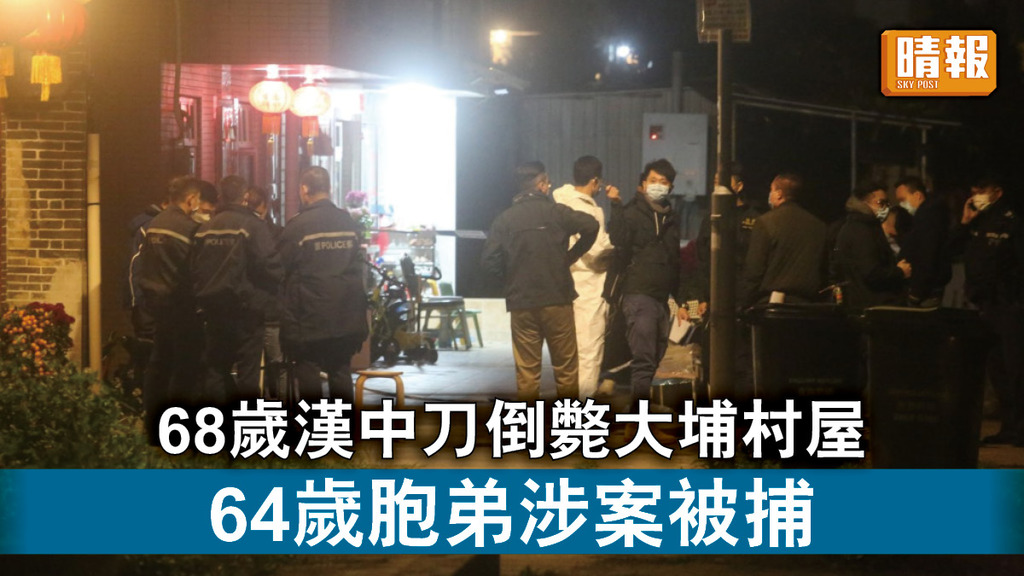 倫常血案｜68歲漢中刀倒斃大埔村屋 64歲胞弟涉案被捕