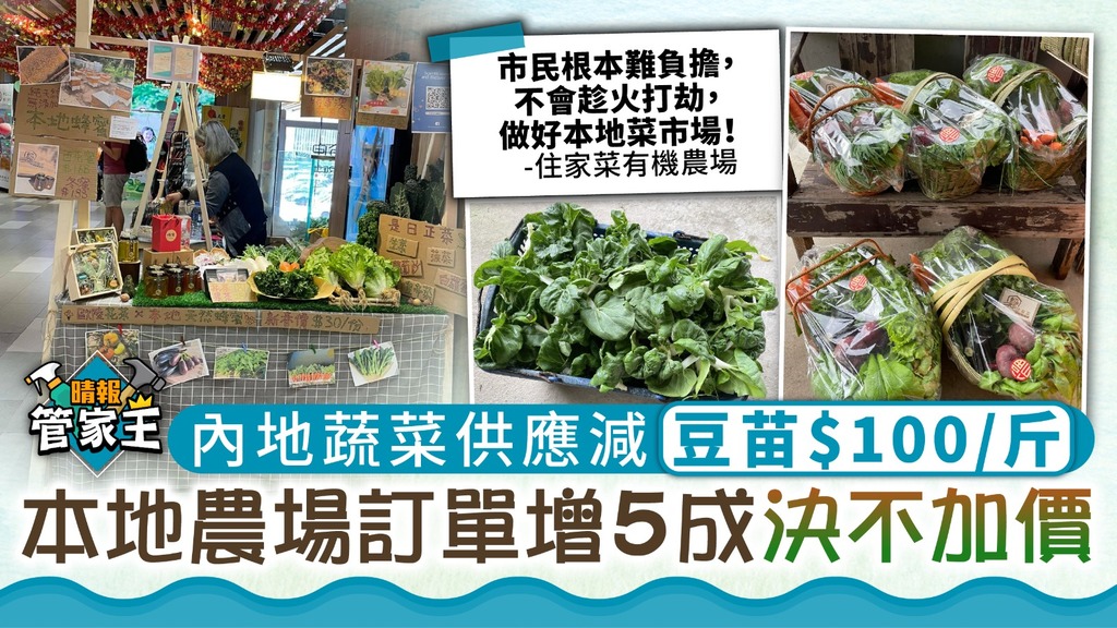 管家王 ︳菜價飆升天價豆苗$100/斤 本地農場訂單增5成決不加價