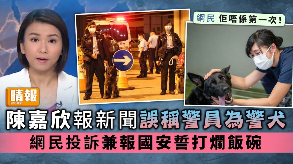 陳嘉欣報新聞誤稱警員為警犬 網民投訴兼報國安誓打爛飯碗