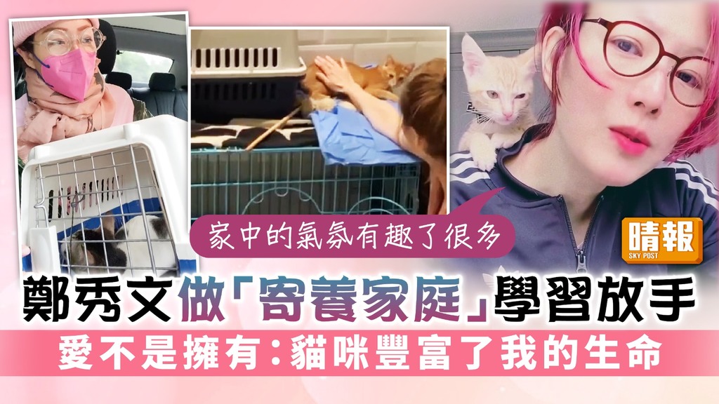 鄭秀文做「寄養家庭」學習放手 愛不是擁有：貓咪豐富了我的生命