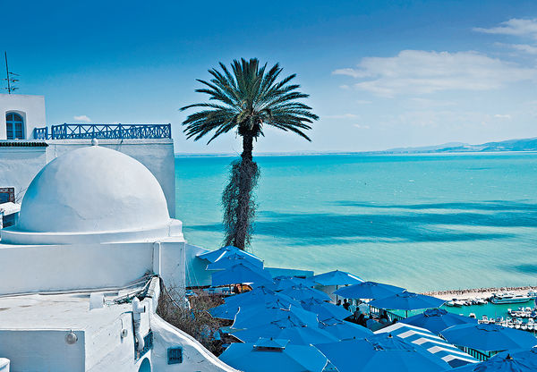 突尼斯#帝國焚城#基因分析#尋找消失的民族