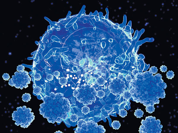 T細胞大義滅親 染疫不致重症纏身