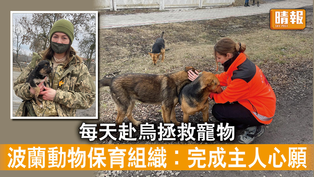 烏克蘭危機｜每天赴烏拯救寵物 波蘭動物保育組織︰完成主人心願（多圖）