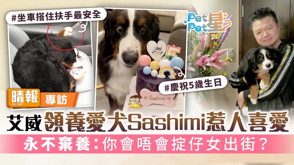 Pet Pet星丨艾威領養愛犬Sashimi惹人喜愛 永不棄養：你會唔會掟仔女出街？