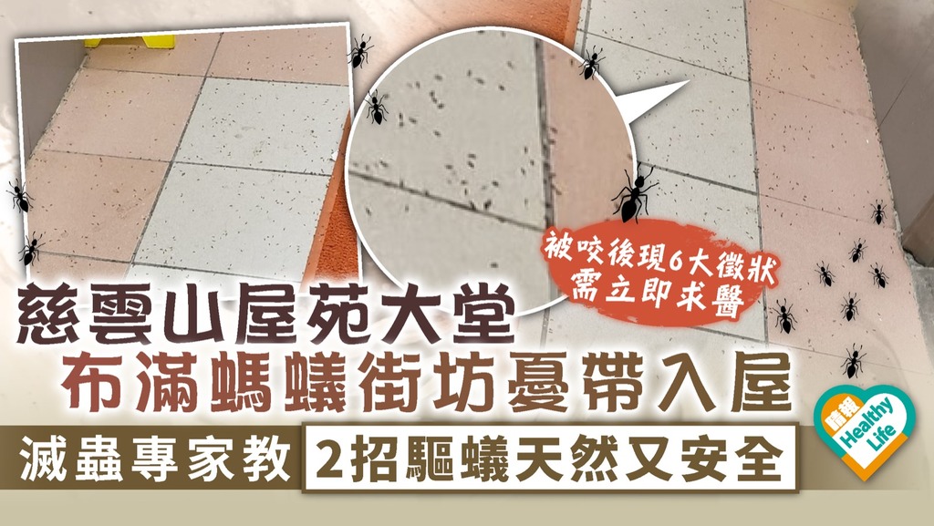 提防咬人︳慈雲山屋苑大堂布滿螞蟻街坊憂帶入屋 滅蟲專家教2招驅蟻天然又安全︳被咬後6大徵狀需求醫