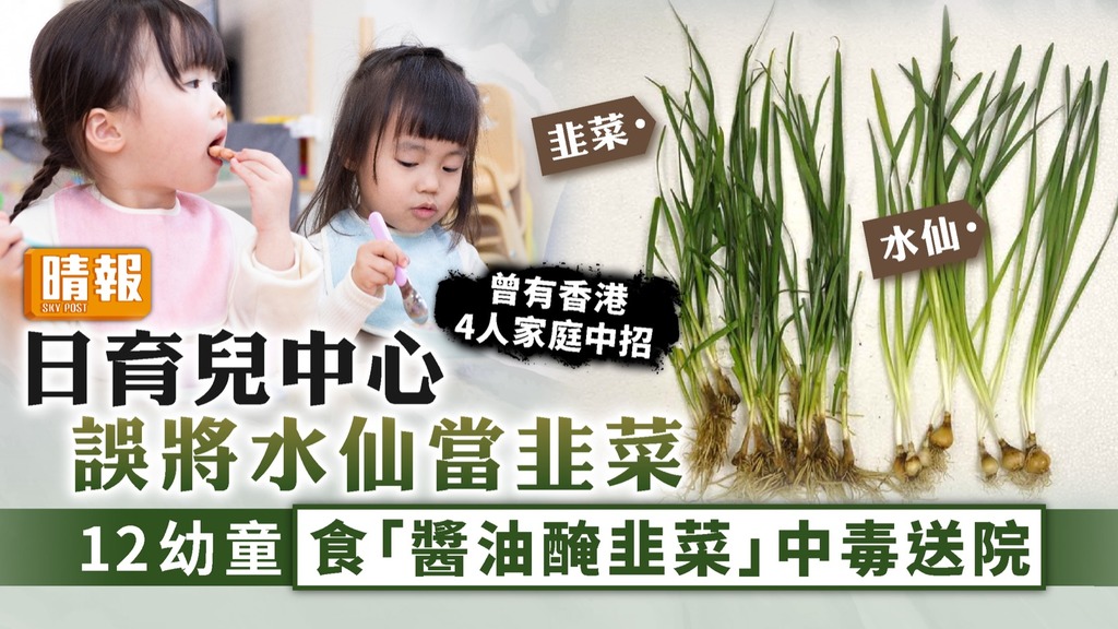 食物中毒 ︳日育兒中心誤將水仙當韭菜 12幼童食「醬油醃韭菜」中毒送院