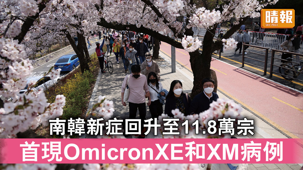 新冠肺炎｜南韓新症回升至11.8萬宗 首現OmicronXE和XM病例