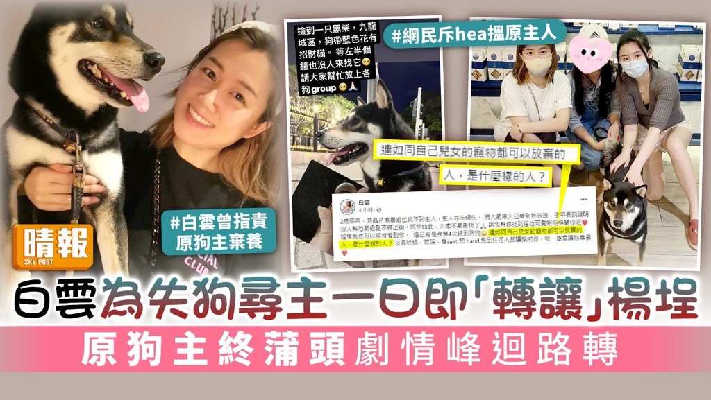 白雲為失狗尋主一日即「轉讓」楊埕 原狗主終蒲頭劇情峰迴路轉