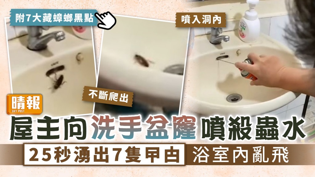 家居滅蟲｜屋主向洗手盆窿噴殺蟲水 25秒湧出7隻曱甴浴室內亂飛【附7大蟑螂窩藏點】