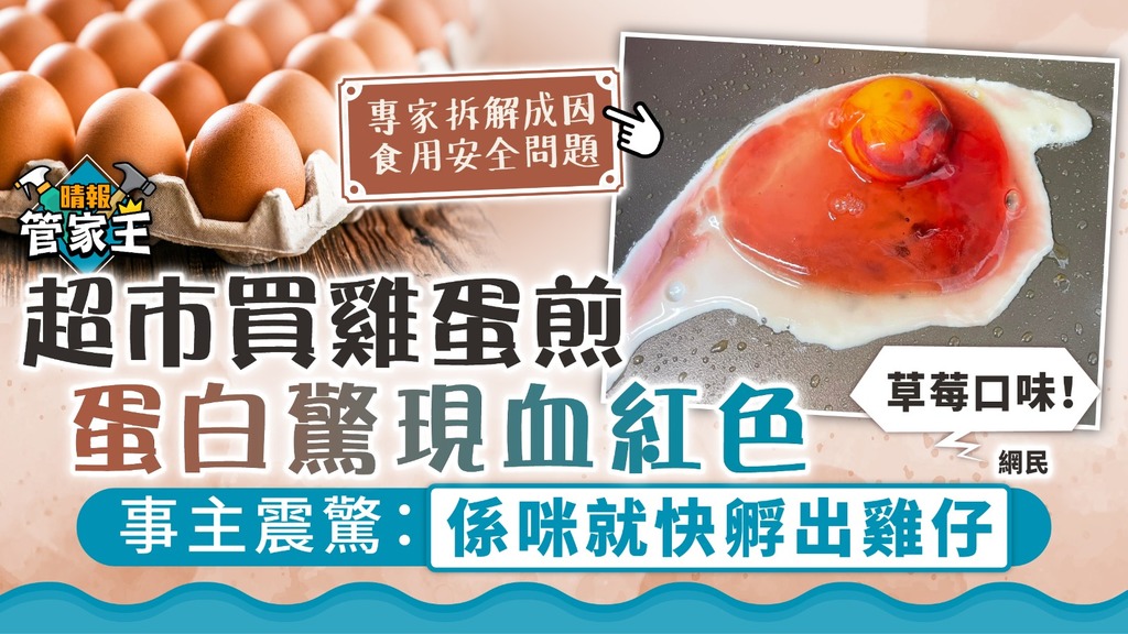 管家王 ︳超市買雞蛋煎蛋白驚現血紅色 事主震驚：係咪就快孵出雞仔【專家拆解成因】