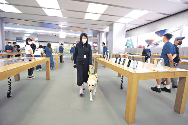 工作8小時 Apple Store唯一導盲犬員工 每天默默助視障主人