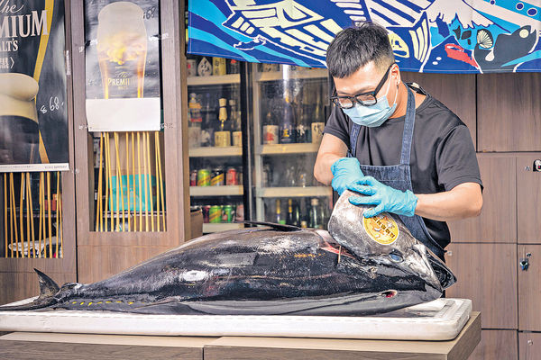 即劏日本直送藍鰭吞拿魚盛宴